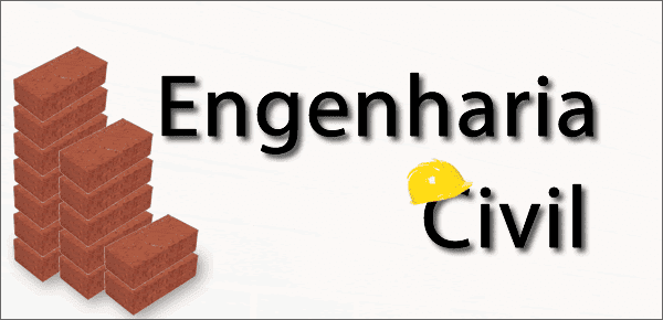 A Graduação e o Curso de Engenharia Civil