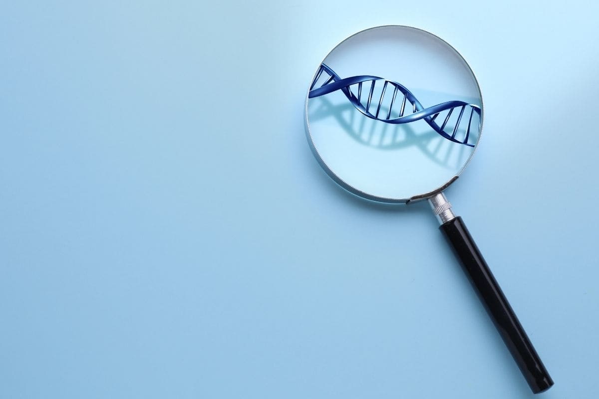 Conheça a profissão geneticista e veja onde estudar