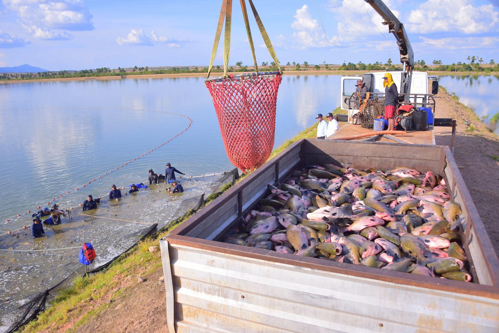 Engenharia de Pesca: como é uma das formações mais diferentes do Brasil?
